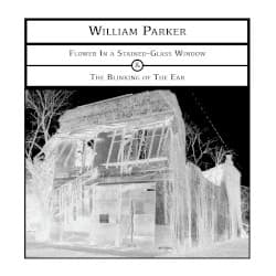 Flower in a Stained-Glass Window & The Blinking of the Ear